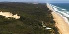 Fraser Island - QLD (PBH4 00 16228)